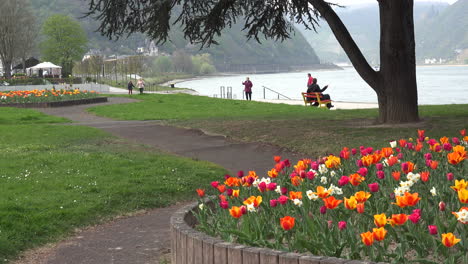 Deutschland-St-Goar-Mit-Menschen-Und-Tulpen