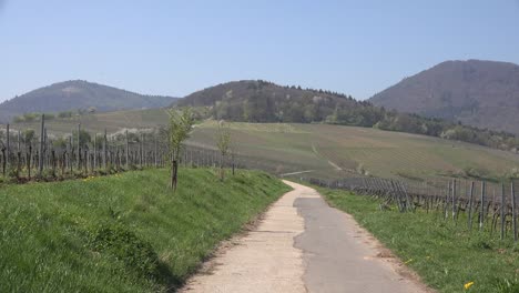 Germany-Wine-Route-Road-With-Vines-And-Hills