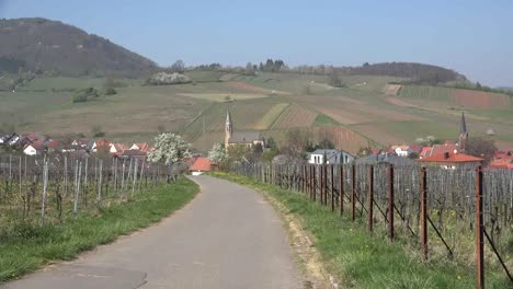 Alemania-Ruta-Del-Vino-Pueblo-Acercar