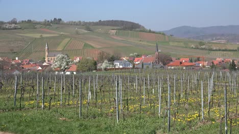 Germany-Wine-Route-Vines-And-Villages