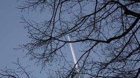 Jet-Contrail-Through-Tree-Branches