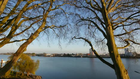 Niederlande-Fluss-Lek-Blick-Durch-Platanen