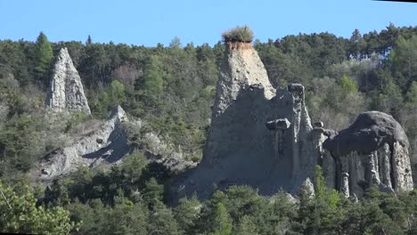 Frankreich-Les-Demoiselles-Coif-Training-Nahaufnahme