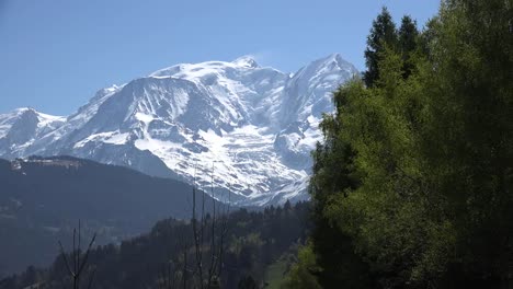 Francia-Mont-Blanc-Vista-De-Montaña-Con-árboles