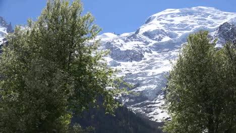 Frankreich-Frühlingsbäume-Umrahmen-Einen-Blick-Auf-Einen-Mont-Blanc-Gletscher