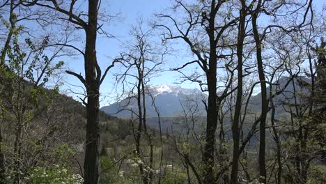 Francia-Vista-Del-Pico-Alpino-A-Través-De-Los-árboles-Acercar