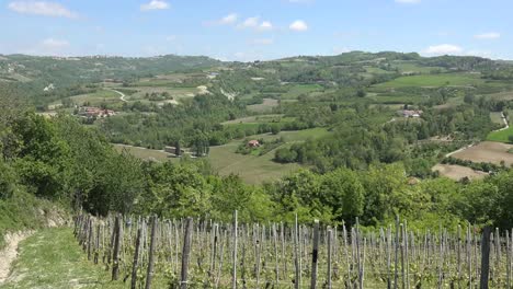 Italien-Landschaft-Mit-Weinreben-Auf-Hügeln
