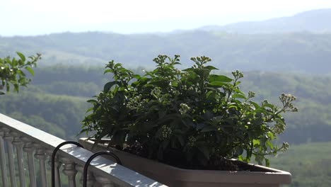 Italy-Window-Box-And-Misty-View