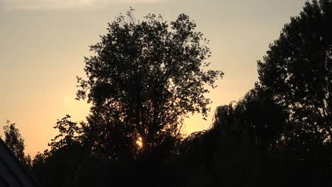 Italien-Untergehende-Sonne-Durch-Baum