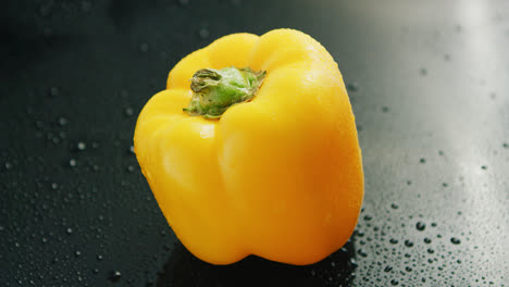 Single-yellow-bell-pepper