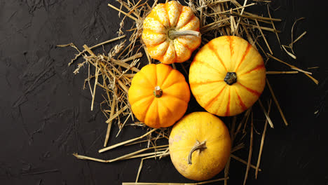 Yellow-pumpkins-laid-on-hay