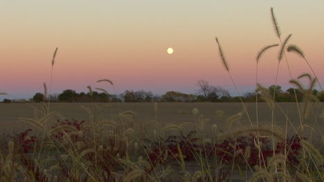 Nebraska-Vollmond