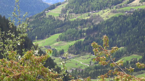 Österreich-Bäume-Und-Pisten-Bei-Sagritz