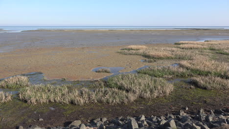 Germany-Wadden-Sea-high-tide-with-grass-and-puddles-by-shore