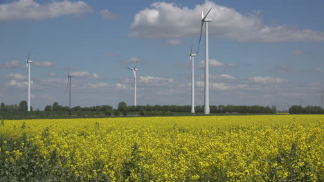Deutschland-Bereich-Raps-Und-Windkraftanlagen