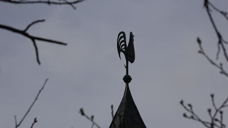 Deutschland-Hahn-Wetterfahne