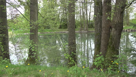 Deutschland-Bäume-Am-Teich