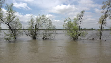 Louisiana-Mississippi-River-Bäume-Bei-Flut