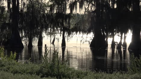 Louisiana-Sonne-Auf-Sumpfwasser-On