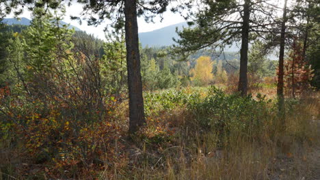 Montana-Herbstszene-In-Hügeln