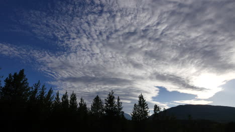 Montana-Gran-Nube-Sobre-Pinos