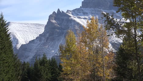 Montañas-De-Montaña-Con-árboles-Dorados-Acercar