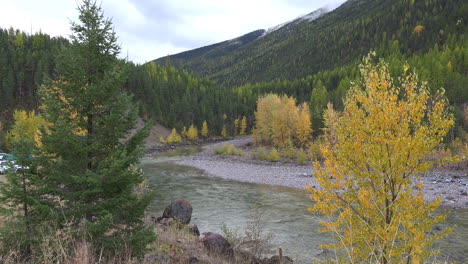 Montana-Stream-Y-Aspen