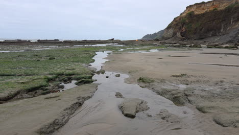 Oregon-Marine-Gardens-with-small-stream-at-low-tide