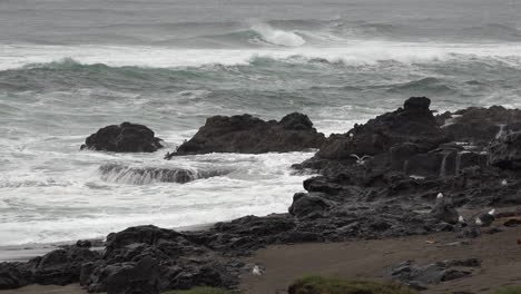 Oregon-crashing-waves-and-birds