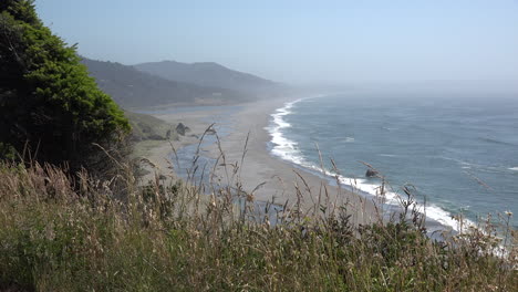 Oregon-dry-grass-fringes-a-view-of-a-stream-crossing-a-beach