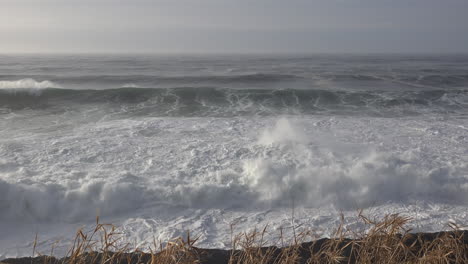 Oregon-rows-of-breakers-roll-in-with-bird