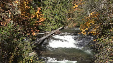 Oregon-Stream-Mit-Stromschnellen-Im-Herbst