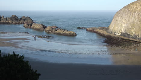 Oregon-Surf-En-Seal-Rocks-Marea-Baja-Acercar