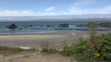 Oregon-Vista-De-Seal-Rocks-En-Marea-Media