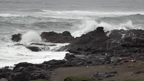 Olas-De-Oregon-Y-Pájaros-Volando