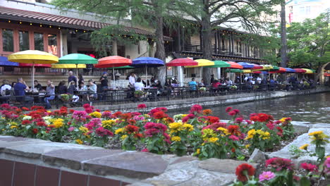 San-Antonio-River-Walk-with-zinnas