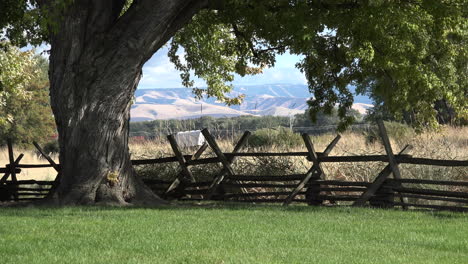 Washington-tree-frames-split-rail-fence-and-covered-wagon