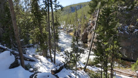 Yellowstone-Firehole-Río-A-Través-De-árboles