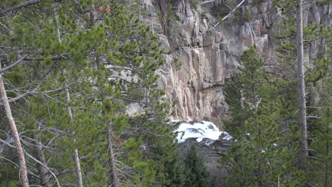 Yellowstone-Gibbon-Fällt-Durch-Bäume