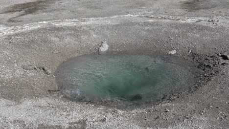 Yellowstone-Percolating-Spring-closeup-at-West-Thumb