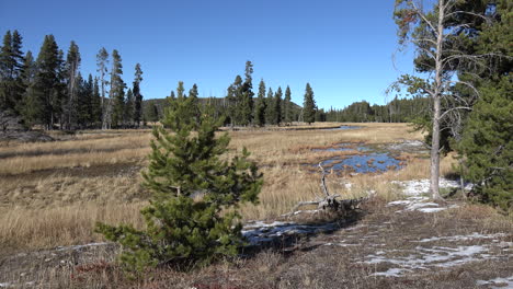 Yellowstone-Landschaft-Im-Biscuit-Geysir-Becken