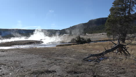 Yellowstone-steam-and-dead-tree-Biscuit-Geyser-Basin