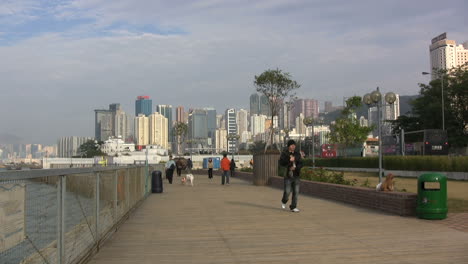 Parque-Para-Perros-De-Hong-Kong