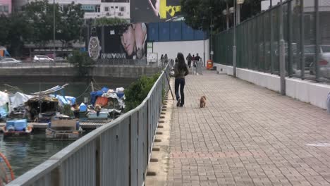 Hong-Kong-Frau-Spazierender-Hund