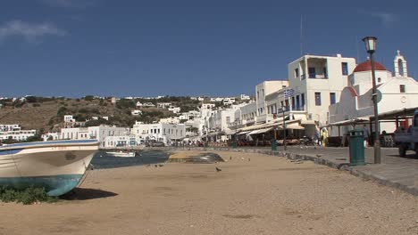 Mykonos-beach-and-birds