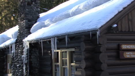 Mount-Rainier-National-Park-Cabin