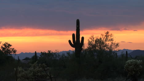 Sonnenuntergang-In-Der-Wüste-Von-Arizona