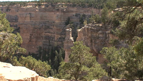 Arizona-Grand-Canyon-with-pines