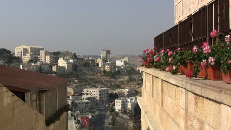 Vista-De-Belén-Con-Flores