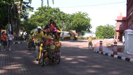 Malakka-Blumenfahrräder-Bike